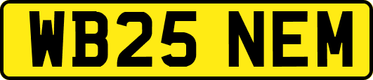 WB25NEM