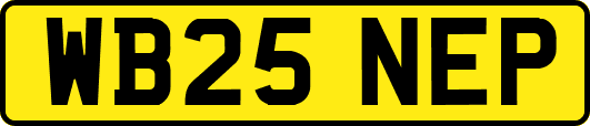 WB25NEP