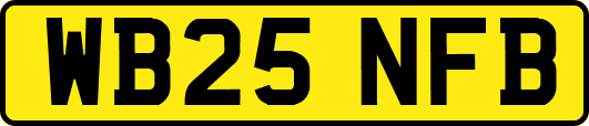 WB25NFB