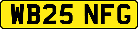 WB25NFG