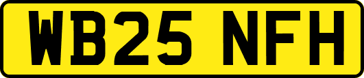 WB25NFH