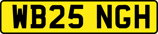 WB25NGH
