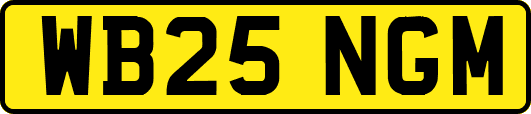 WB25NGM