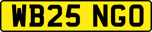 WB25NGO