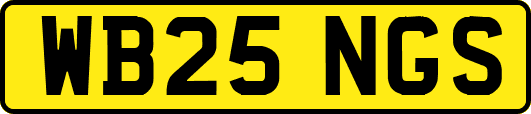WB25NGS