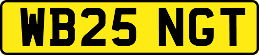 WB25NGT