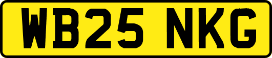 WB25NKG