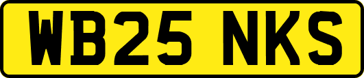 WB25NKS