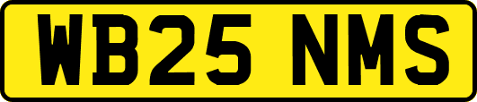 WB25NMS