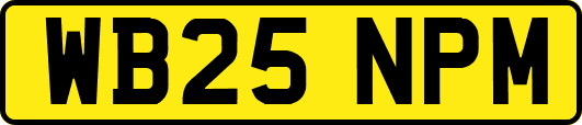 WB25NPM