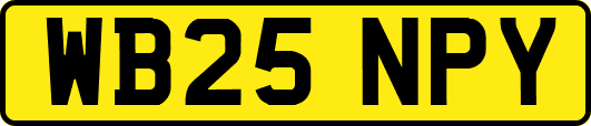 WB25NPY