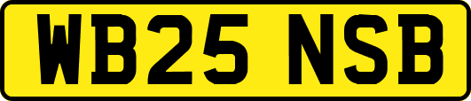 WB25NSB