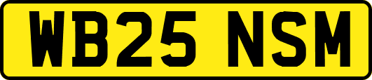WB25NSM