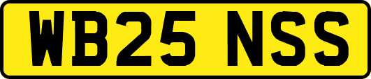 WB25NSS