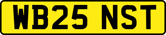 WB25NST