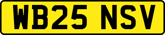 WB25NSV
