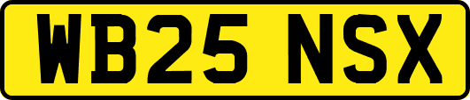 WB25NSX