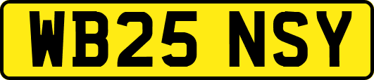 WB25NSY
