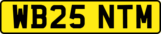 WB25NTM