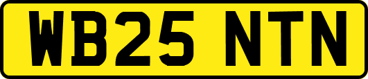 WB25NTN