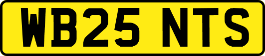 WB25NTS