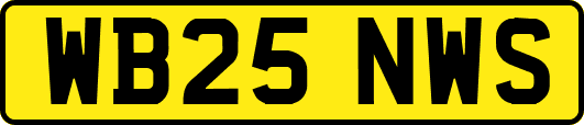 WB25NWS