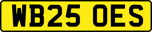 WB25OES