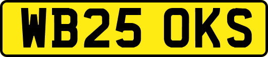 WB25OKS