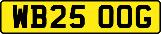 WB25OOG