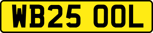 WB25OOL