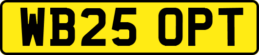 WB25OPT