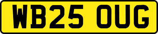 WB25OUG