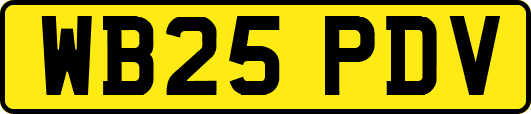 WB25PDV