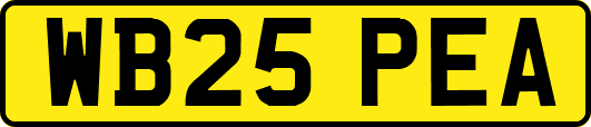 WB25PEA