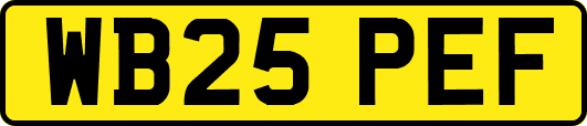 WB25PEF