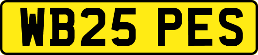 WB25PES