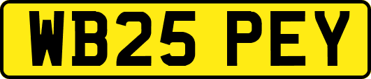 WB25PEY