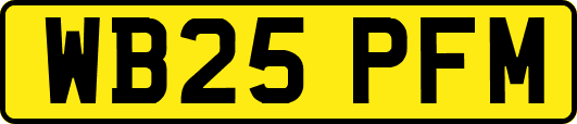 WB25PFM