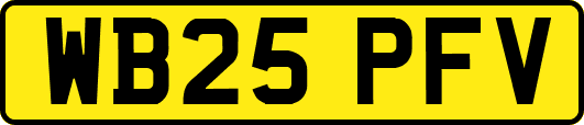 WB25PFV
