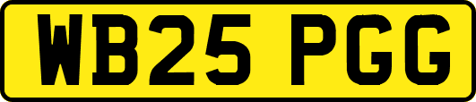 WB25PGG