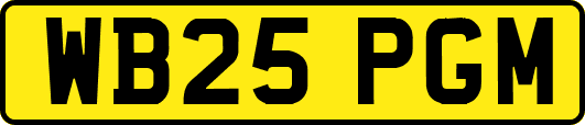 WB25PGM