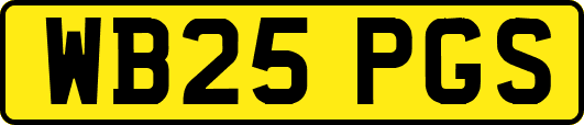WB25PGS