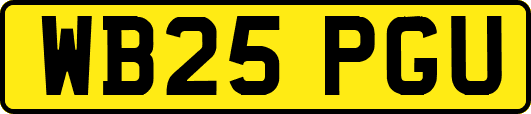 WB25PGU