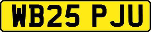 WB25PJU