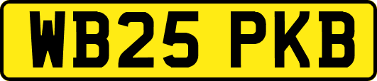 WB25PKB