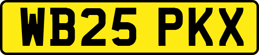 WB25PKX