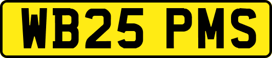 WB25PMS