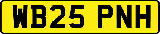 WB25PNH