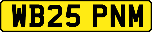 WB25PNM