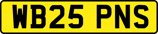 WB25PNS